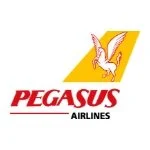 Pegasus Airlines logosu